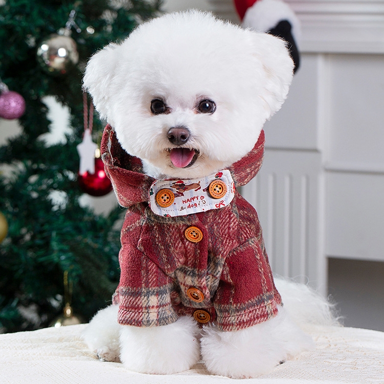 O1CN01LQQOMh1p053lC6lvZ_!!2218342705297-0-cib