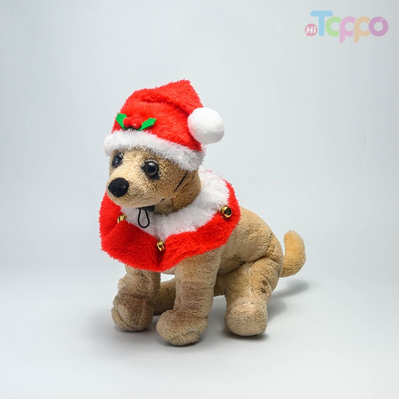 Festive Santa Pet Hat & Collar Christmas Set