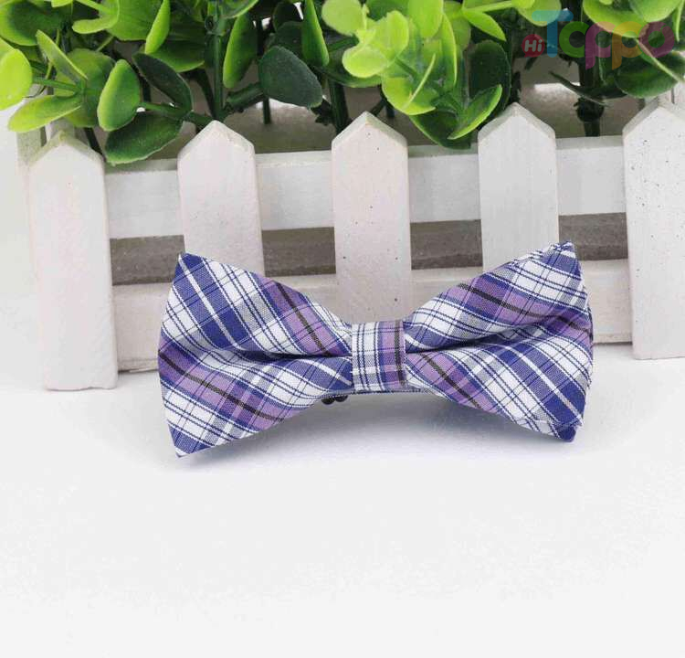 Heb282e8a02784b10bd9c8da9338dccb3C