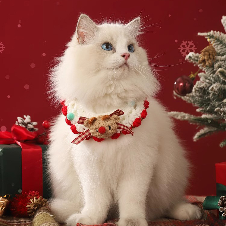 O1CN01NGVMi82IOSoLM94OE_!!973159276-0-cib