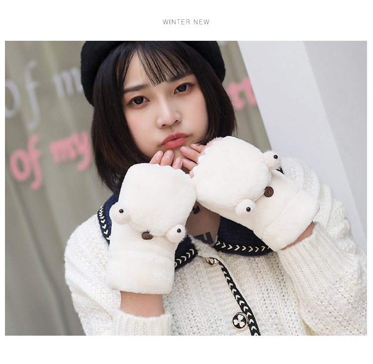 20454062272_993270348