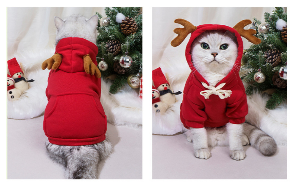 ac33209e-9b81-41ed-96f0-e1158f117d90