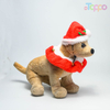 Festive Santa Pet Hat & Collar Christmas Set