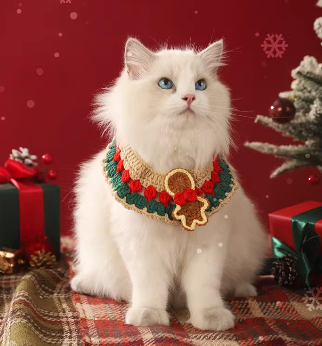 a5f0393e-e173-42de-97b3-f90e7c23b8cb