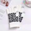 Acrylic Knitted Touch Screen Texting Gloves Fashion Leopard Jacquard Warm Winter Gloves