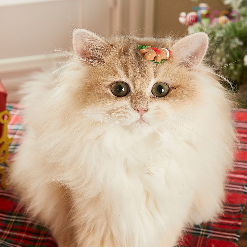 Mini Christmas Pet Hair Clips for Furry Friends