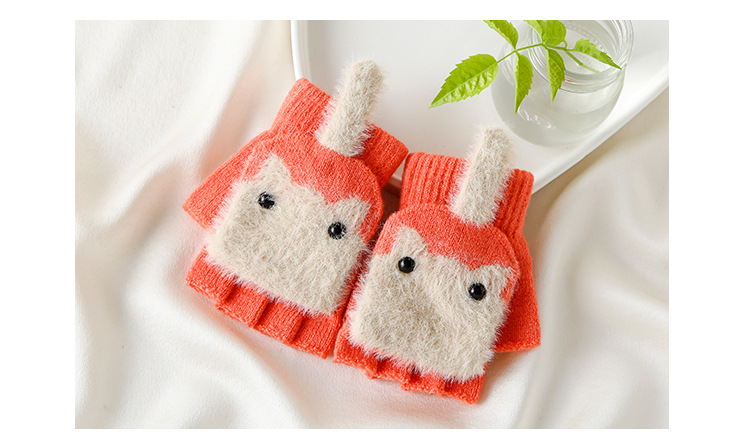 11900129569_1113385056