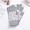 Acrylic Knitted Touch Screen Texting Gloves Fashion Leopard Jacquard Warm Winter Gloves