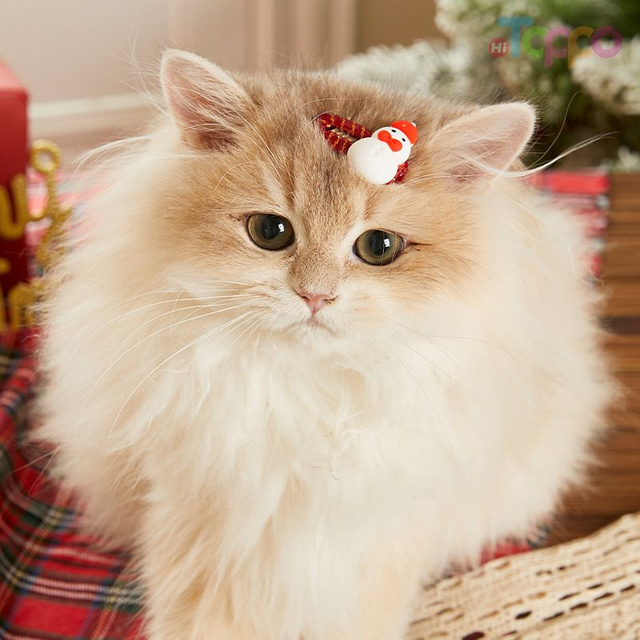 Mini Christmas Pet Hair Clips for Furry Friends