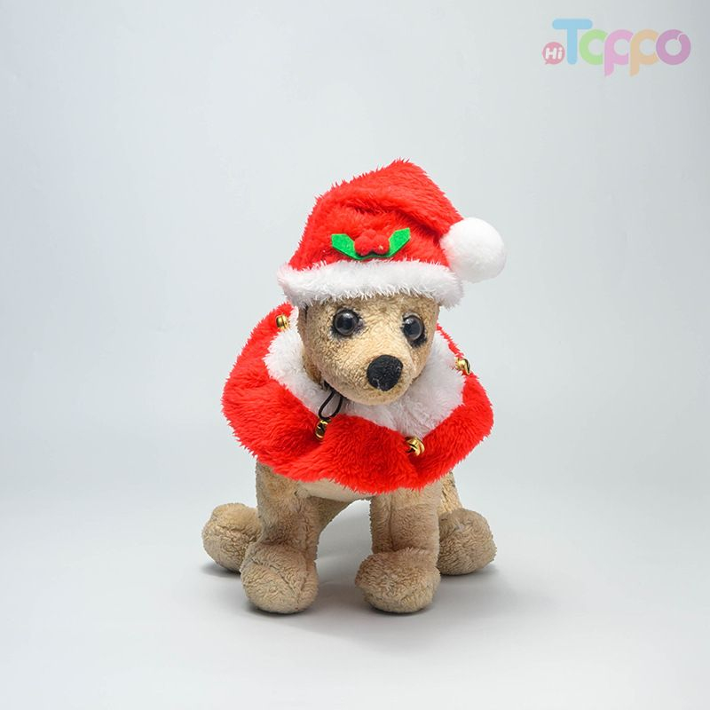 Festive Santa Pet Hat & Collar Christmas Set