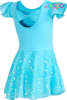 Girls Ballet Leotards Toddler Shiny Dance Leotard Dresses